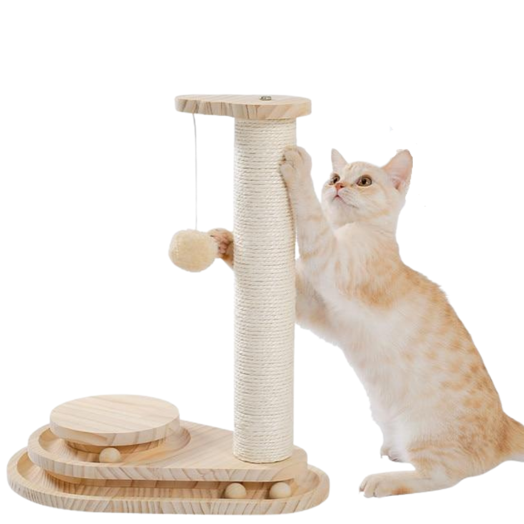 Interactive Wooden Cat Toy - The Meow Pet Shop