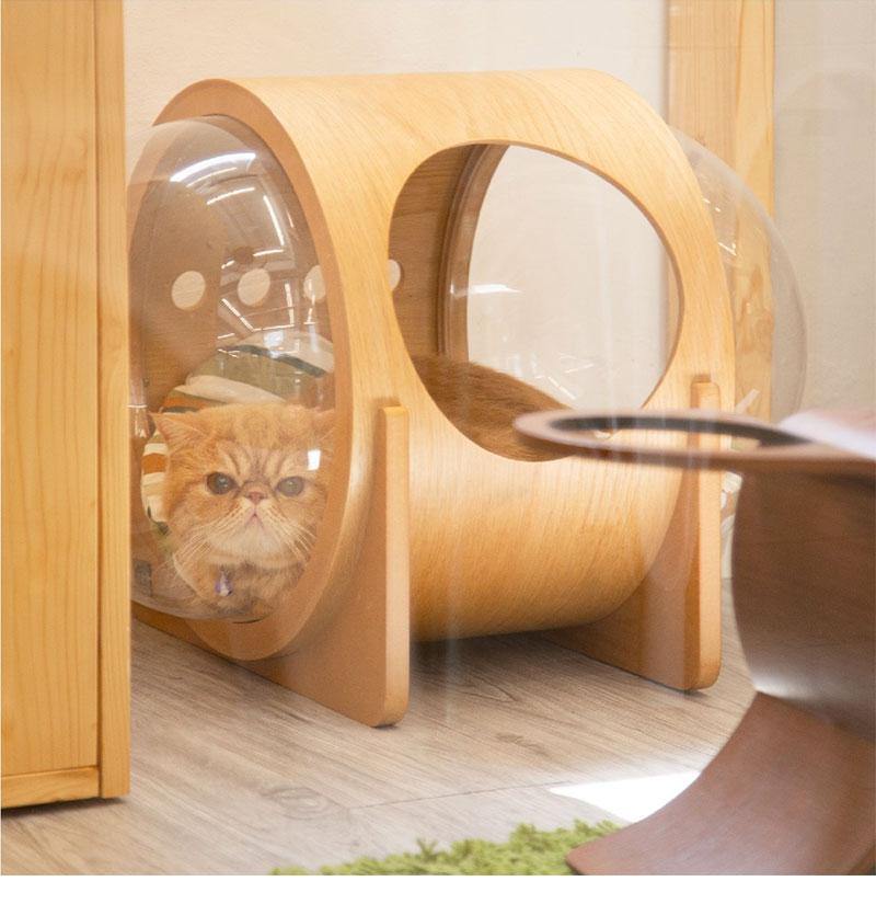 Space Capsule Cat Bed - The Chic House Decor