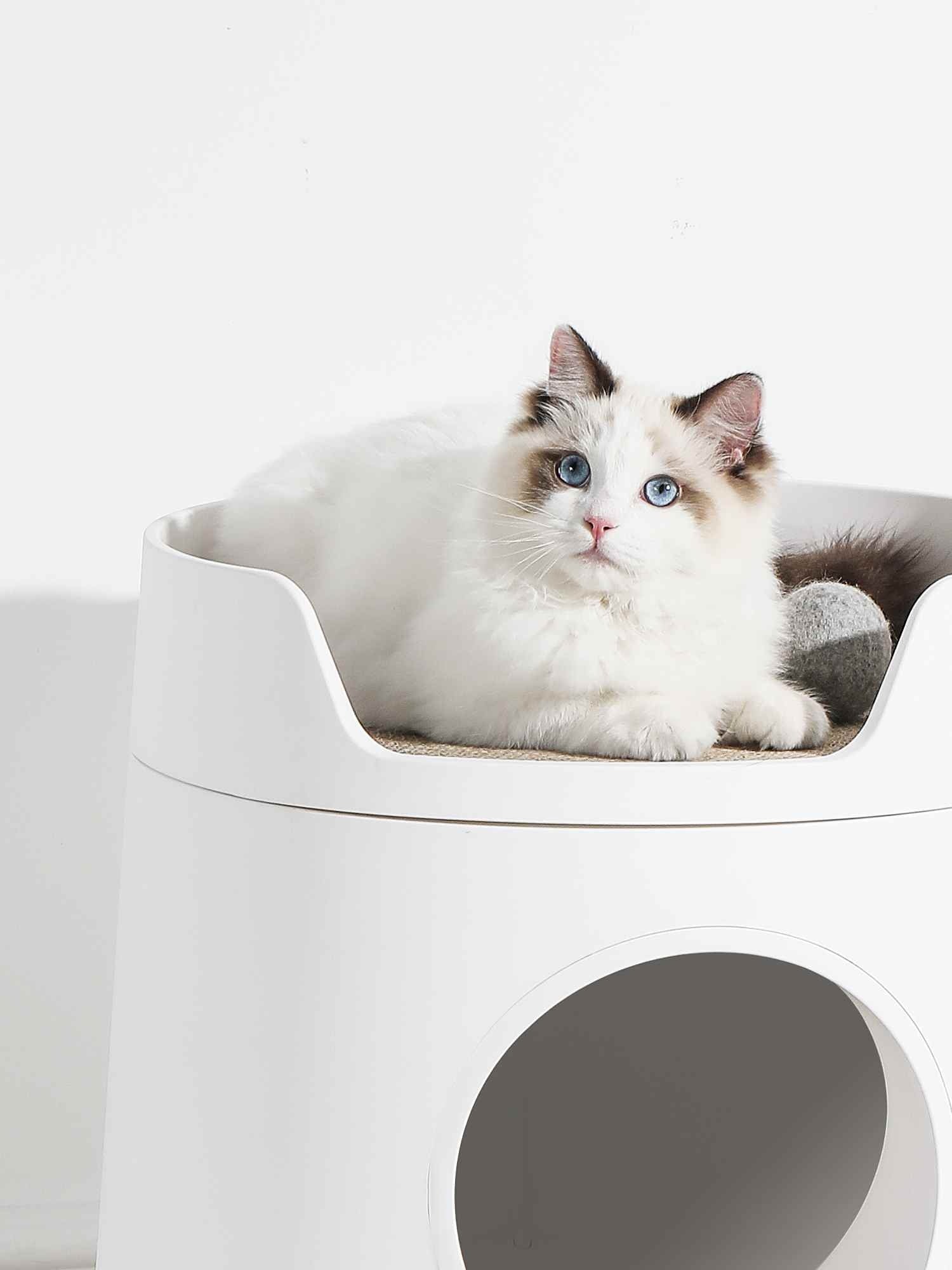 Castle Shaped Cat Litter Box