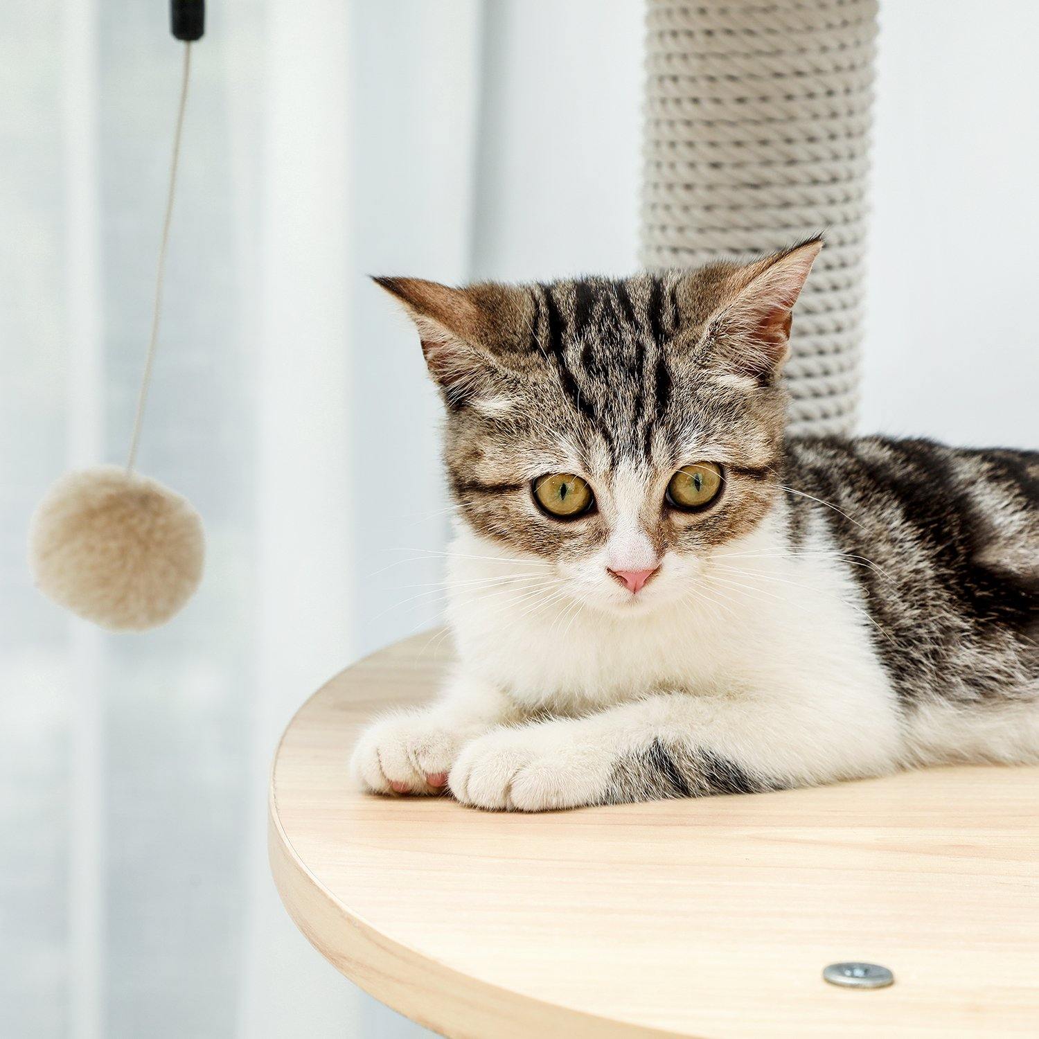 White Multi-Level Cat Tree - The Meow Pet Shop