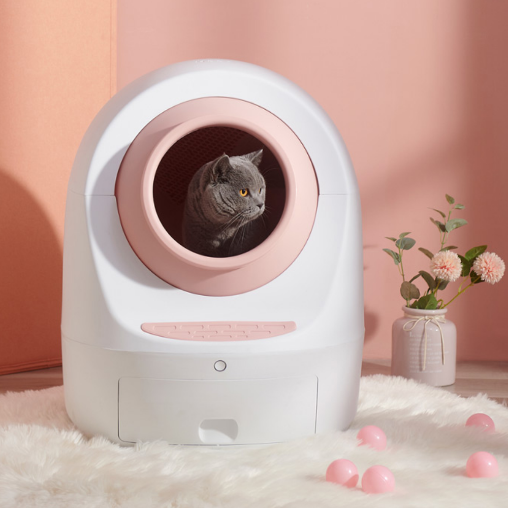 Meet Pet Colorful Intelligent Cat Toilet (Automatic + App)