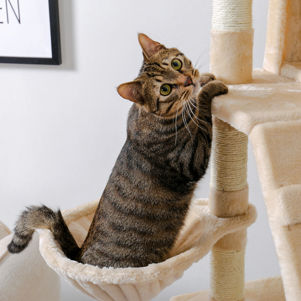 Extra Large Cat Tree House
