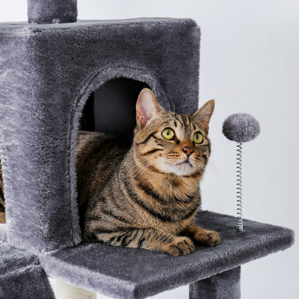 Extra Large Cat Tree House