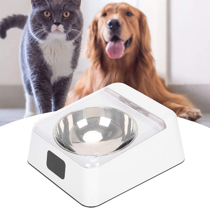 Infrared Sensor Pet Feeder