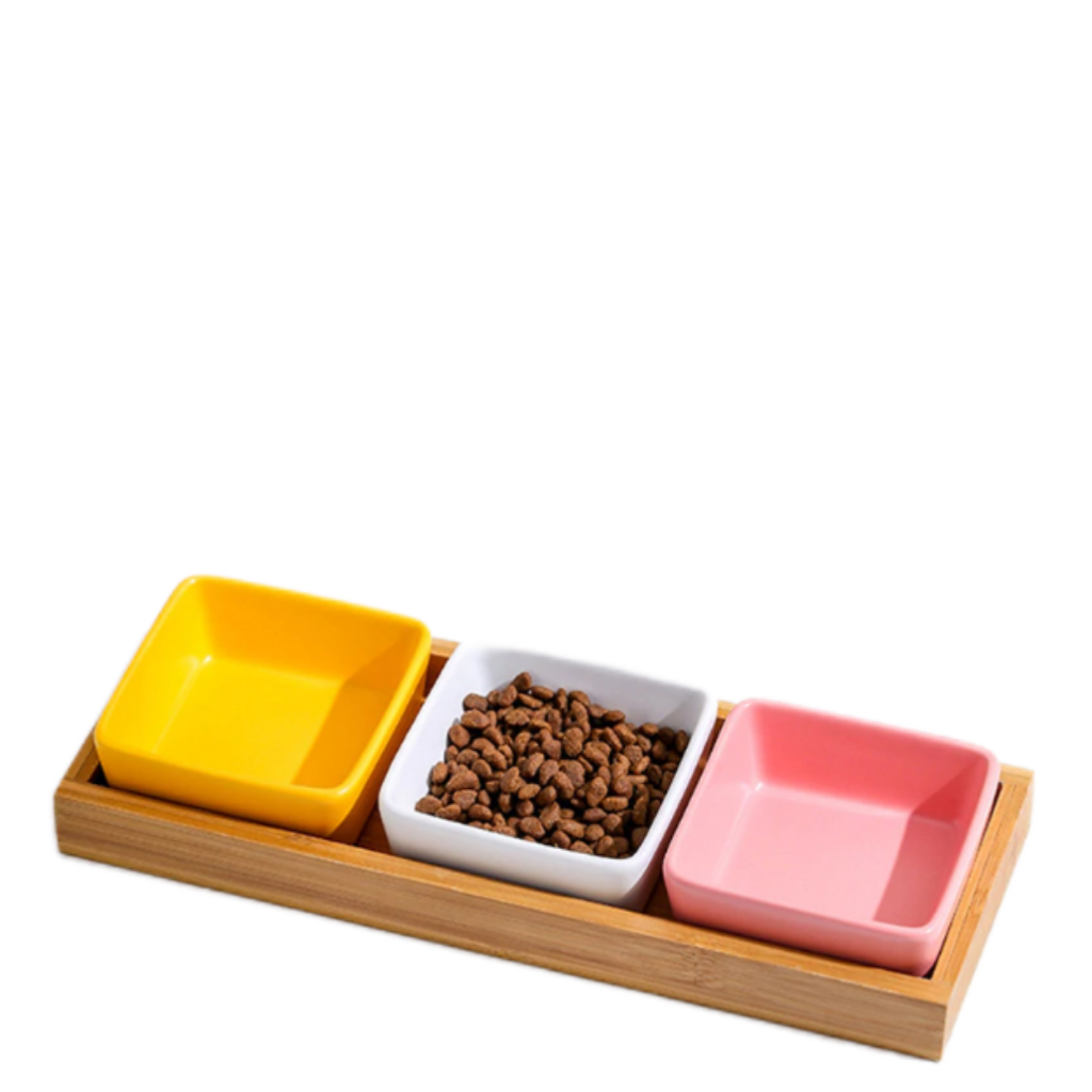 Square Cat Bowl with Bamboo Stand