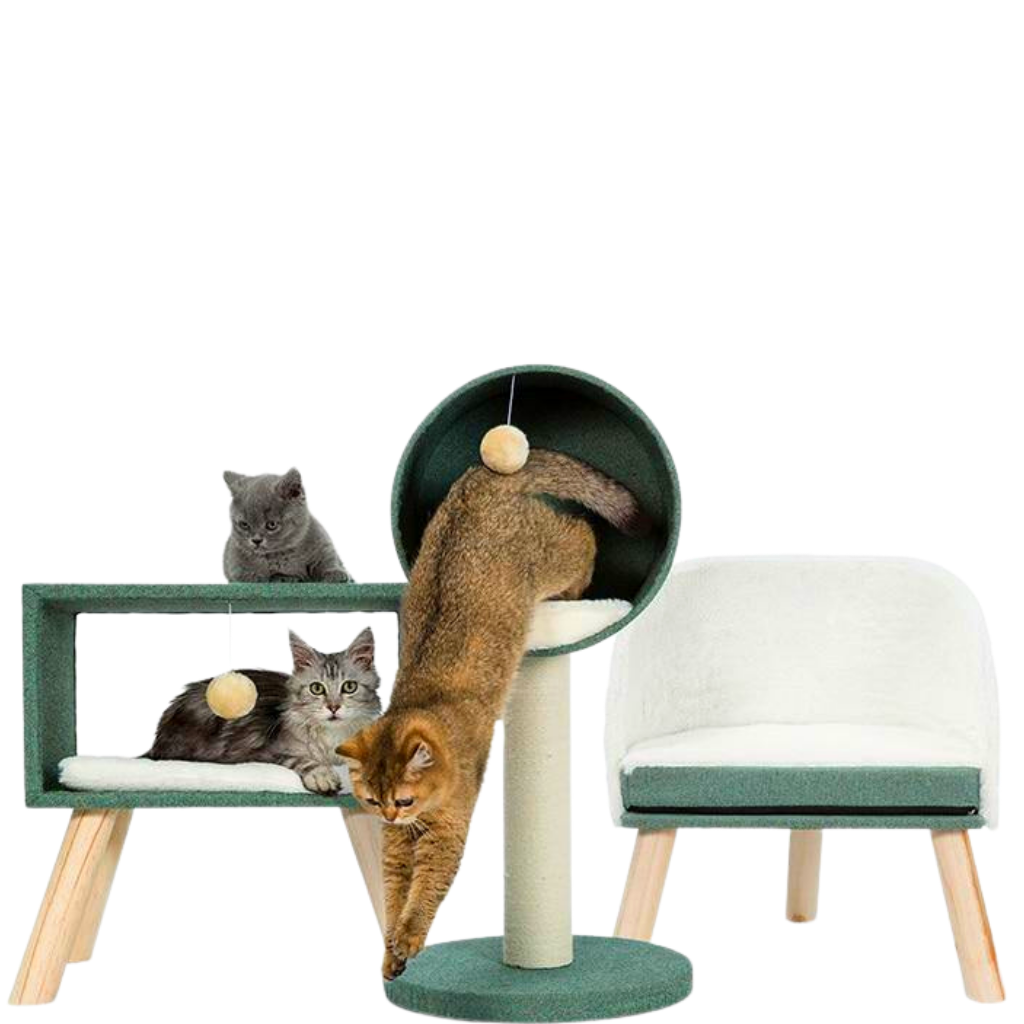 Luxurious Cat Furniture Set