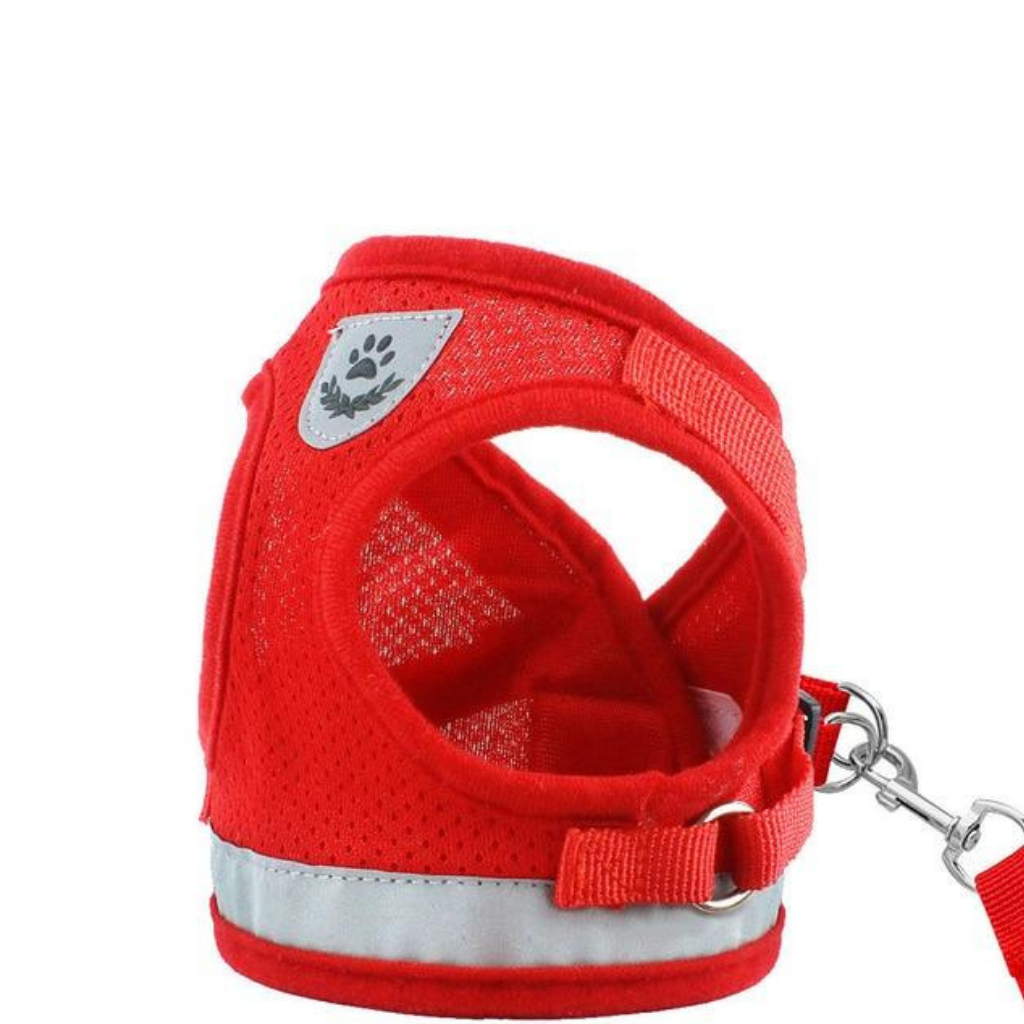 Set Reflective Cat Harness