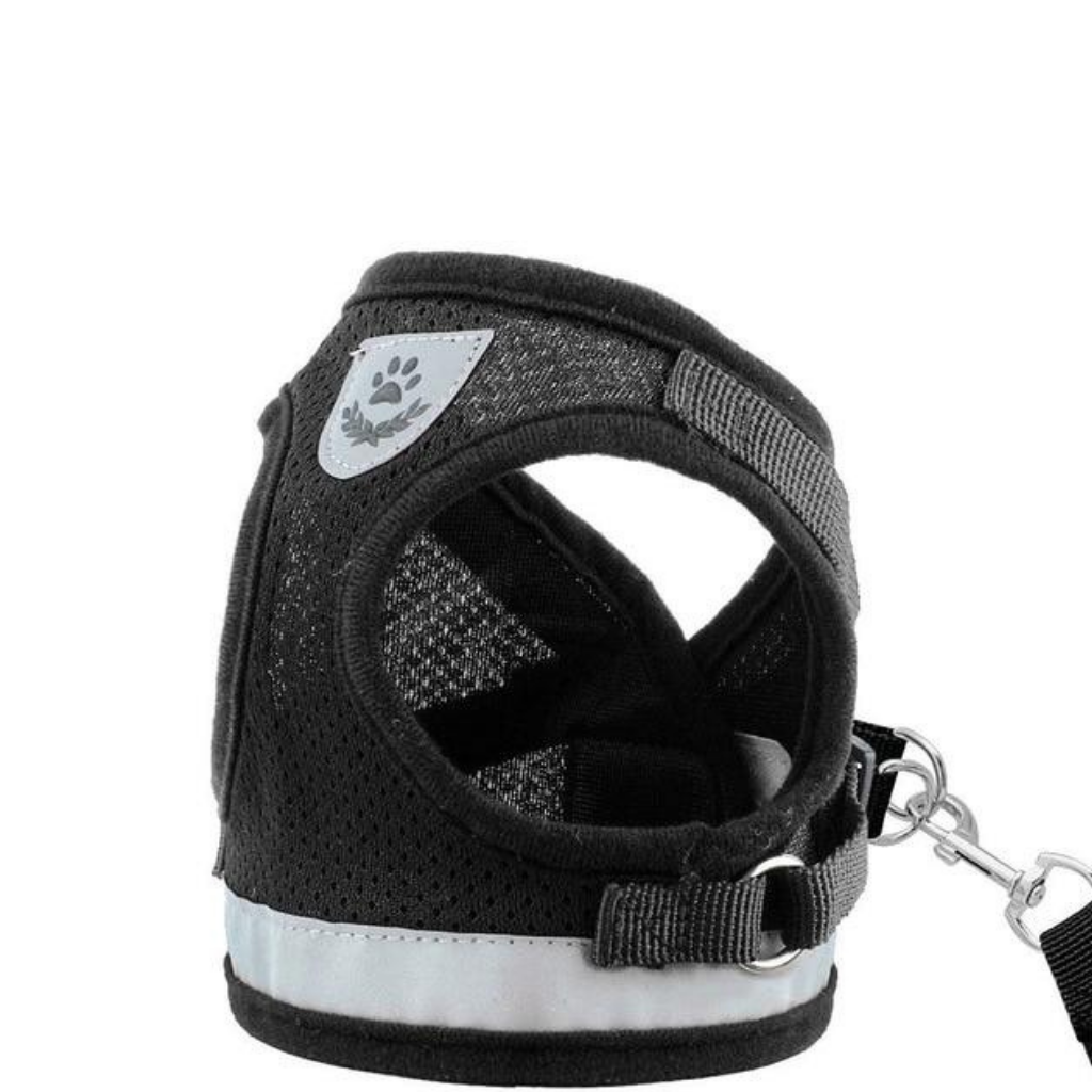 Set Reflective Cat Harness