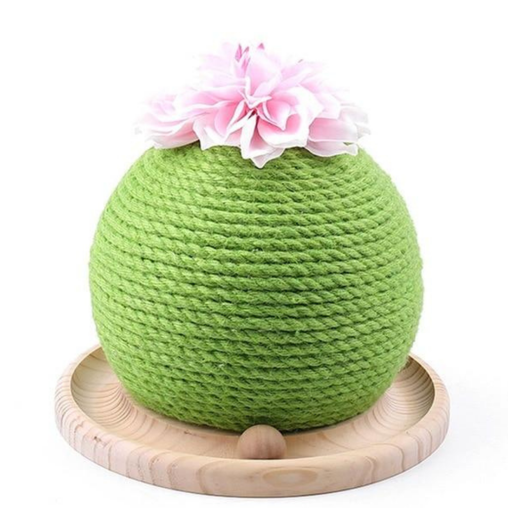 Cactus Scratching Ball with Wood Base