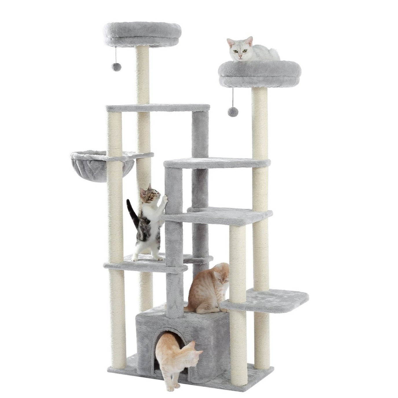 Large Cat Multi-Layer Playground