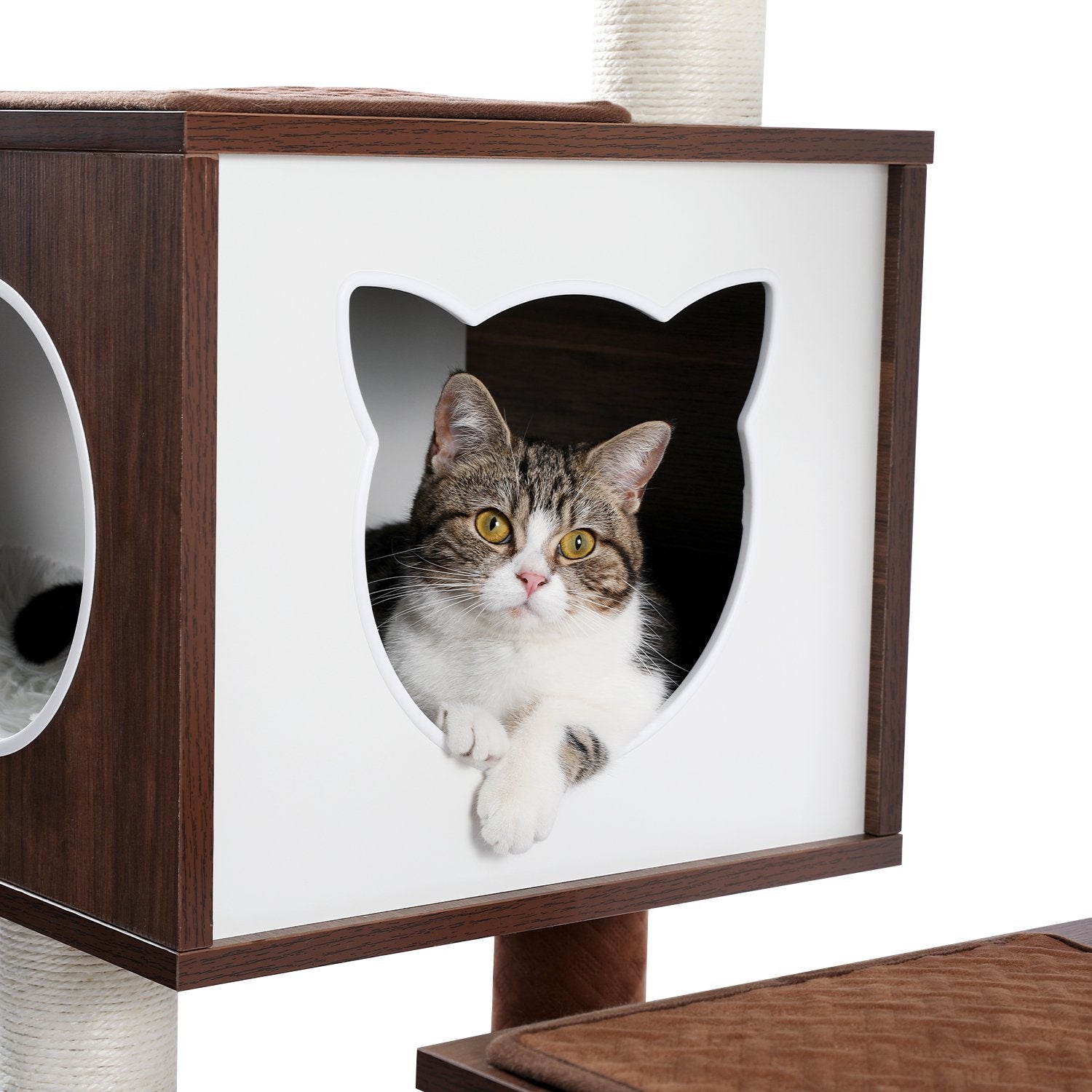 Wooden Cat Tree with Washroom