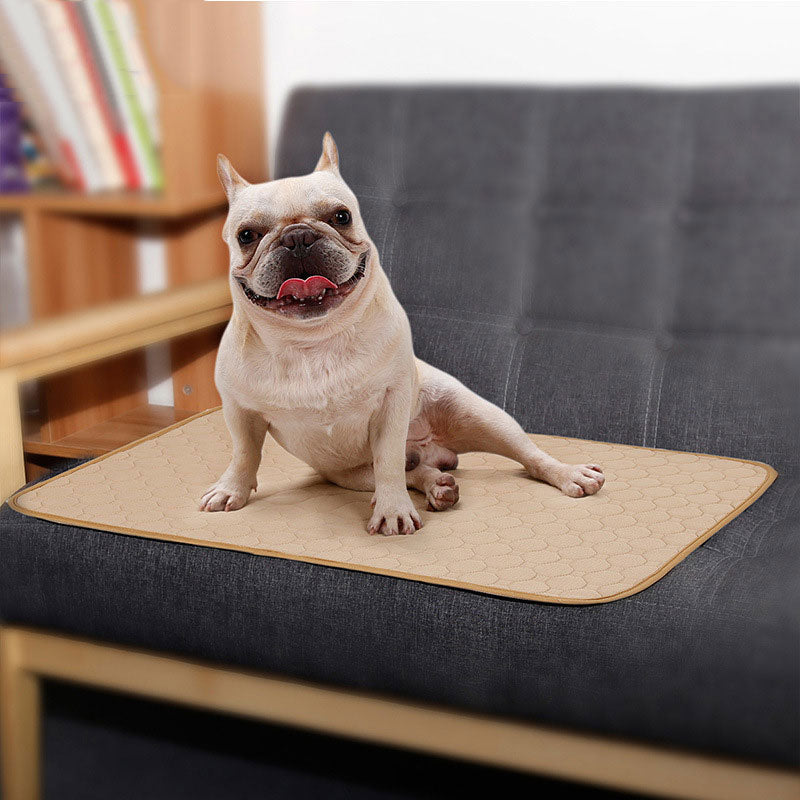 Anti-slip Washable Pet Mat