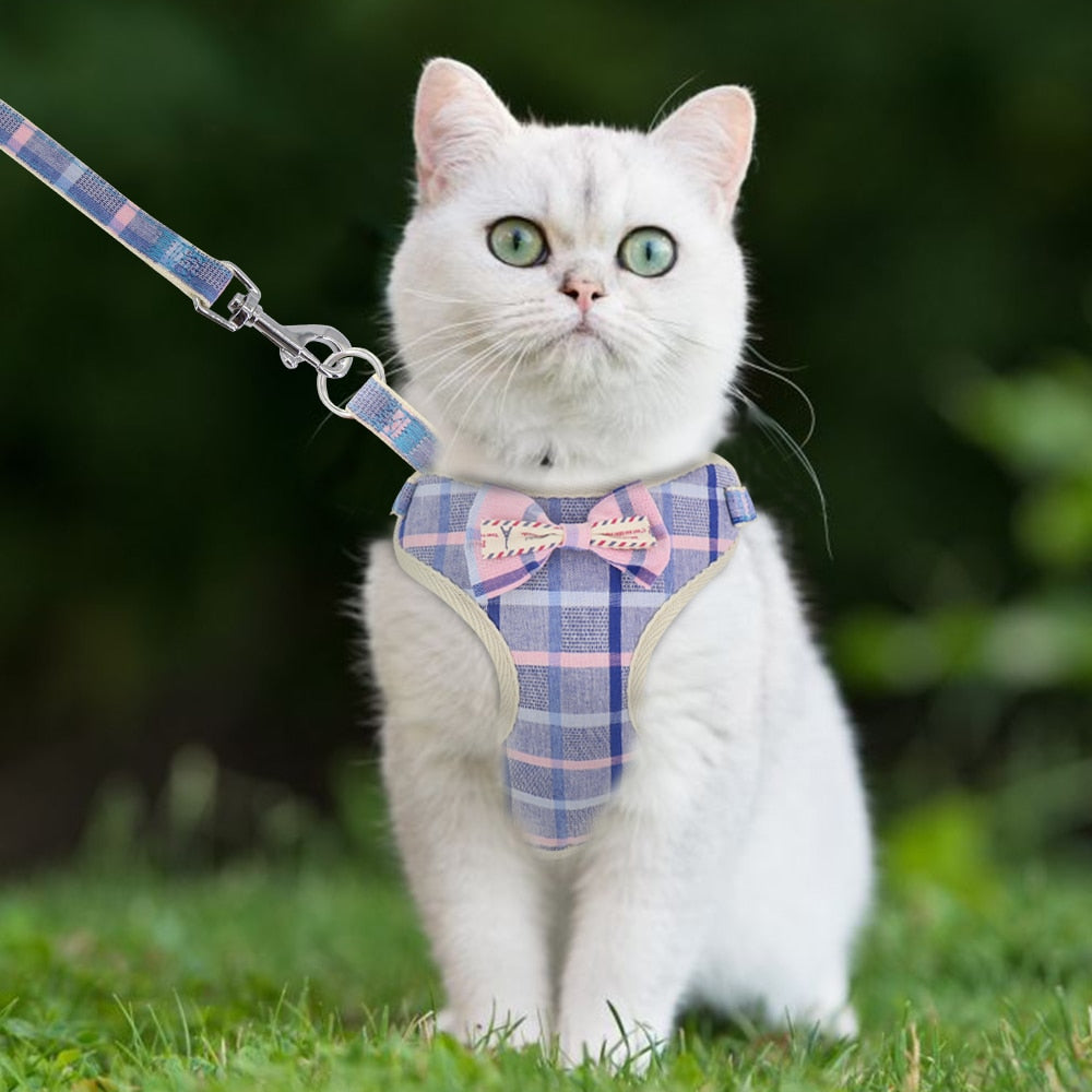Soft Mesh Pet Harnesses