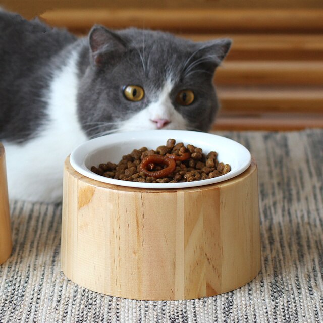 Single Cat Bowl with Bamboo Stand