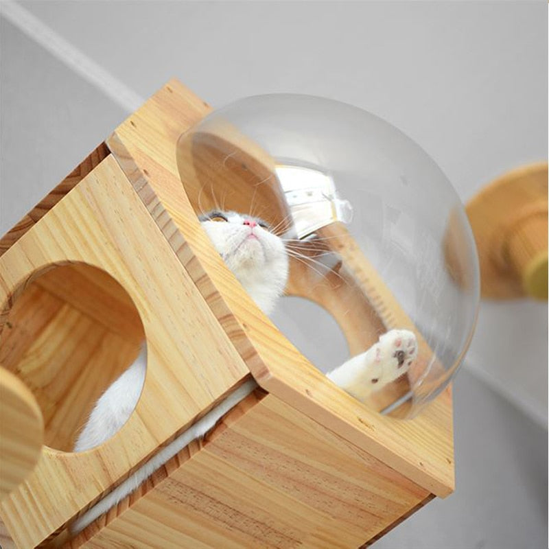 Wall-mounted Hexagonal Space Capsule
