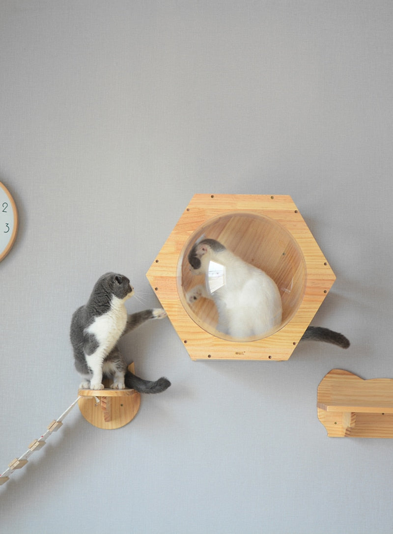 Wall-mounted Hexagonal Space Capsule