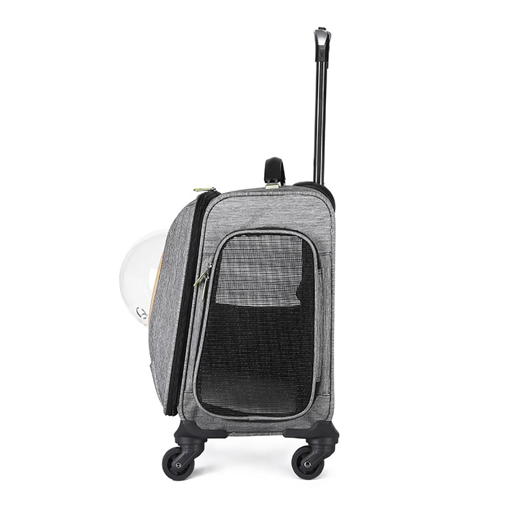 Hands-Free Pet Trolley