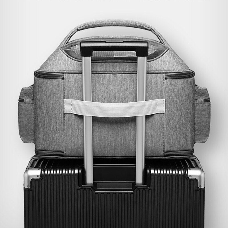 Grey Pet Travel Carrier