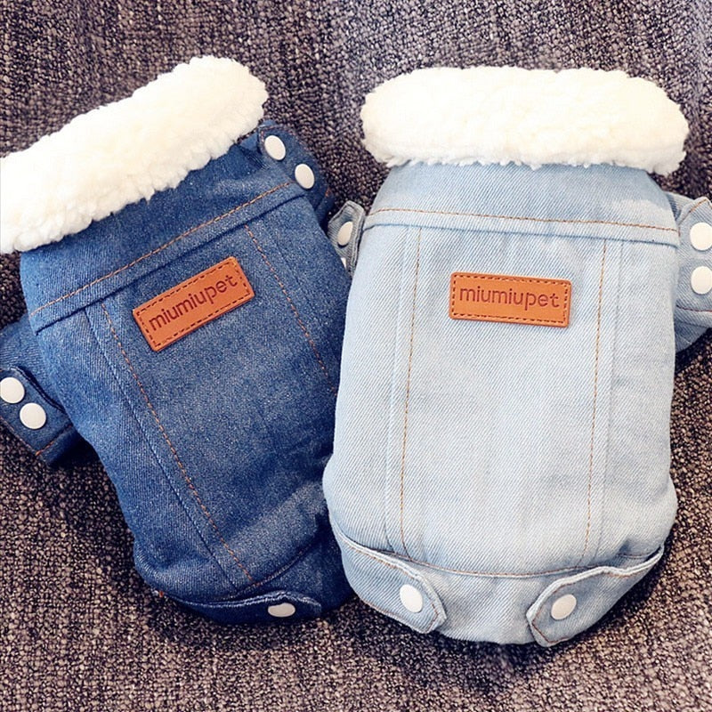 Luxury Jeans Winter Pet Jacket