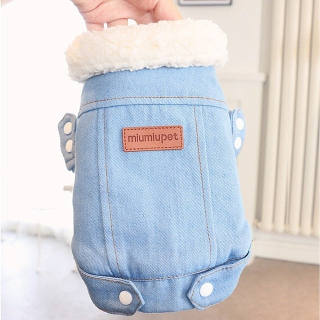 Luxury Jeans Winter Pet Jacket