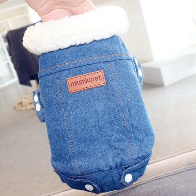 Luxury Jeans Winter Pet Jacket