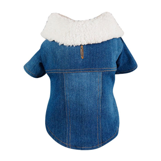 Luxury Jeans Winter Pet Jacket