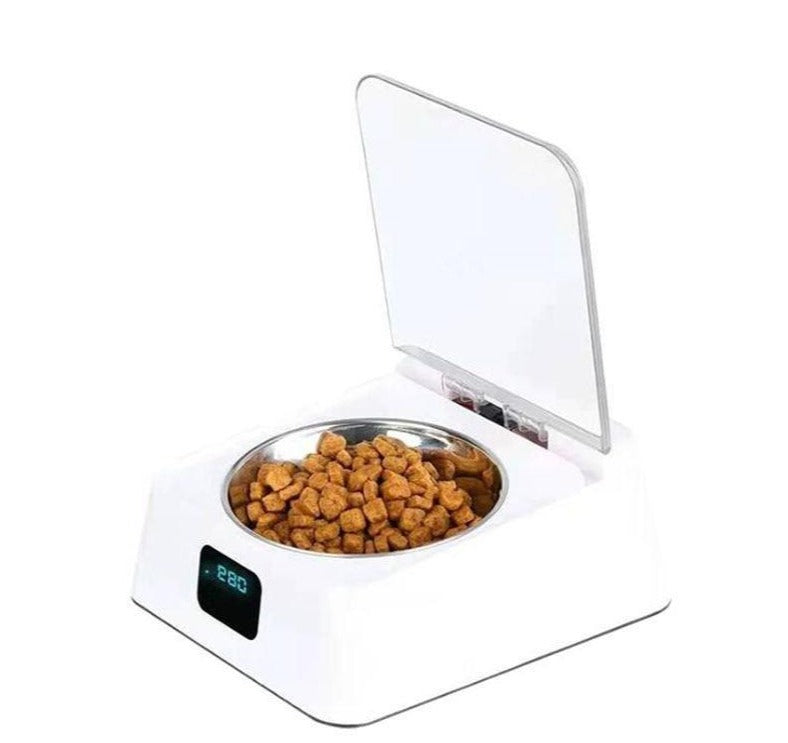 Sensor pet on sale feeder