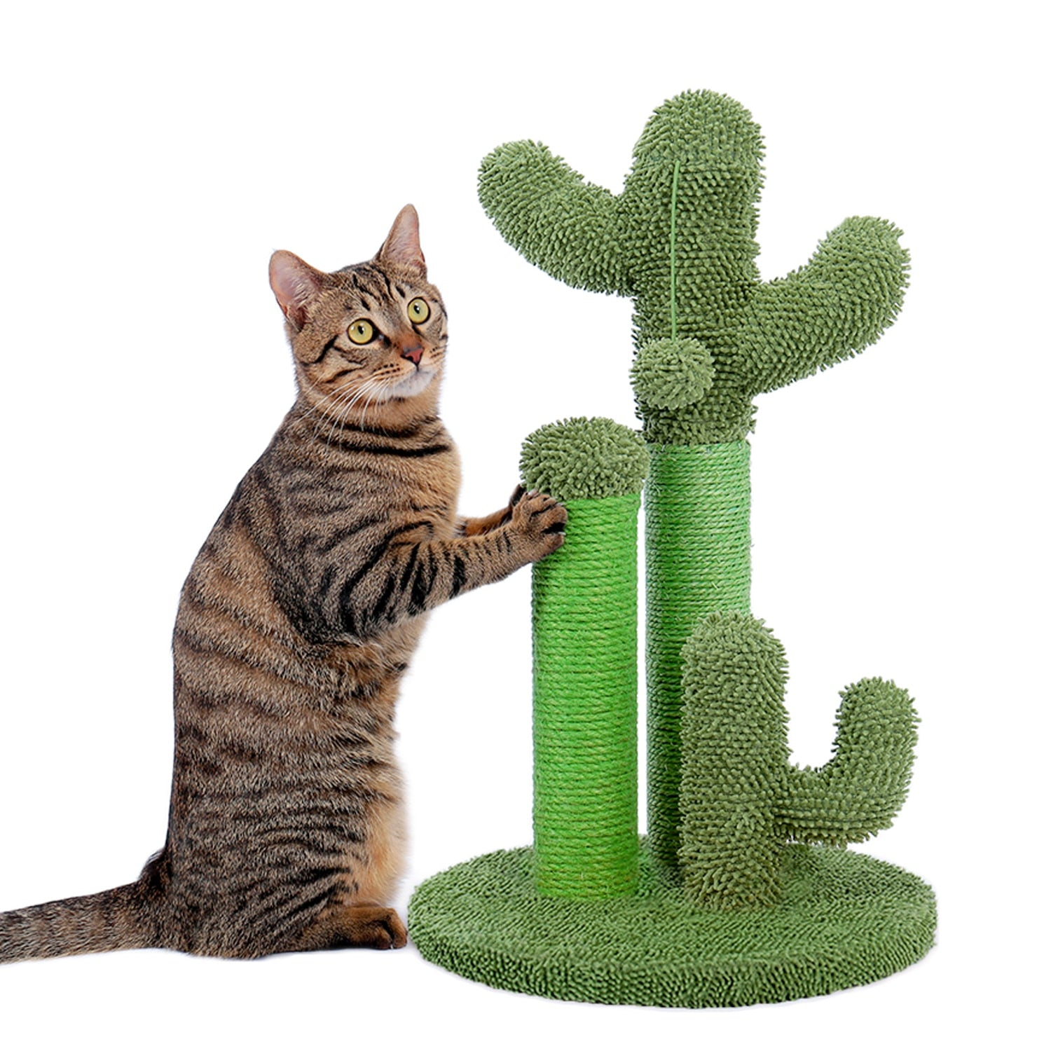 Cactus Cat Scratcher Post