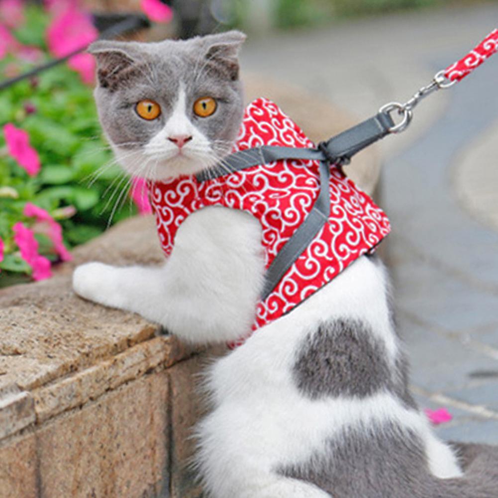 Polyester Pet Harness