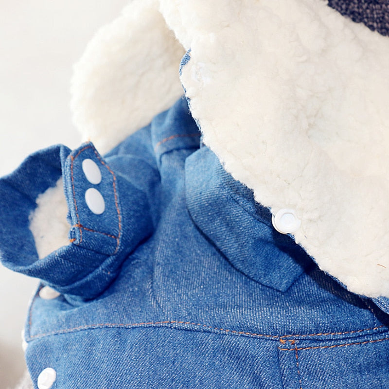 Luxury Jeans Winter Pet Jacket