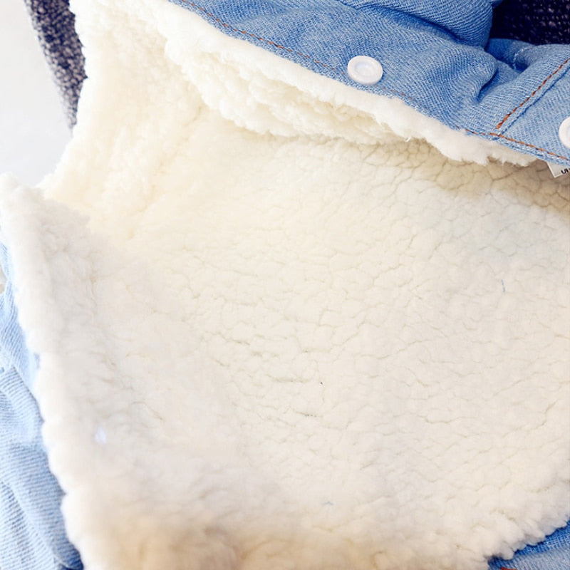 Luxury Jeans Winter Pet Jacket