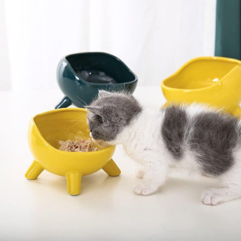 Frog Style Cat Bowl - The Meow Pet Shop
