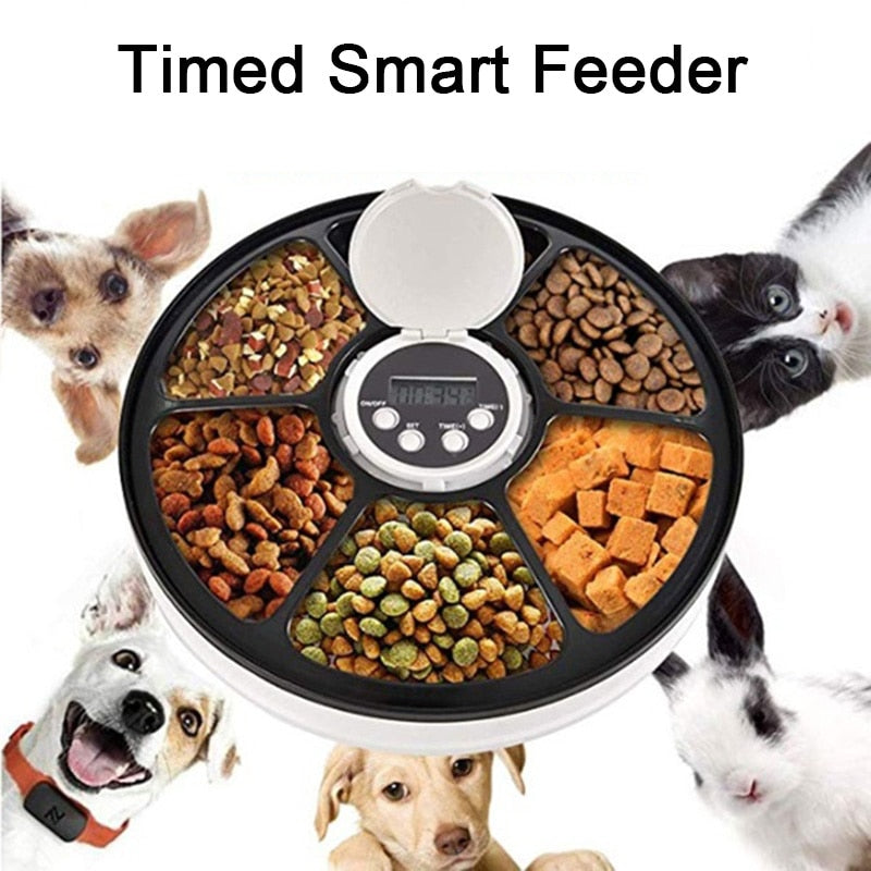 Intelligent Pet Feeder