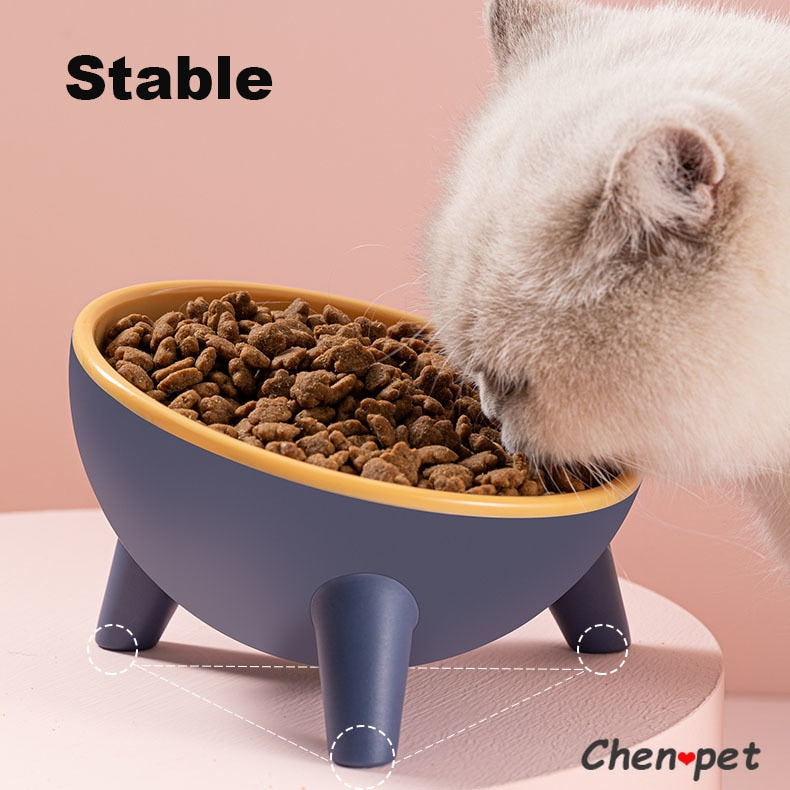 Tilted Cat Dish with Legs