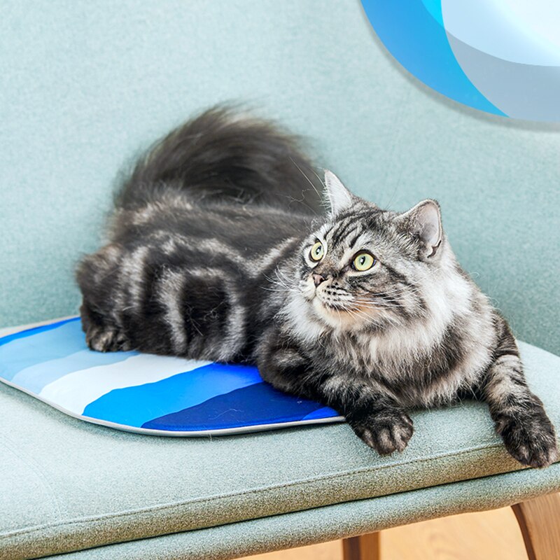 Petkit: Pet Cooling Cushion