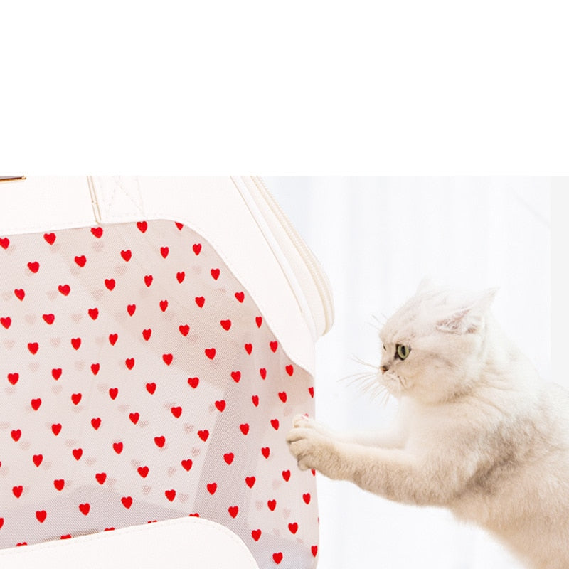 Stylish Pet Single Shoulder Bag