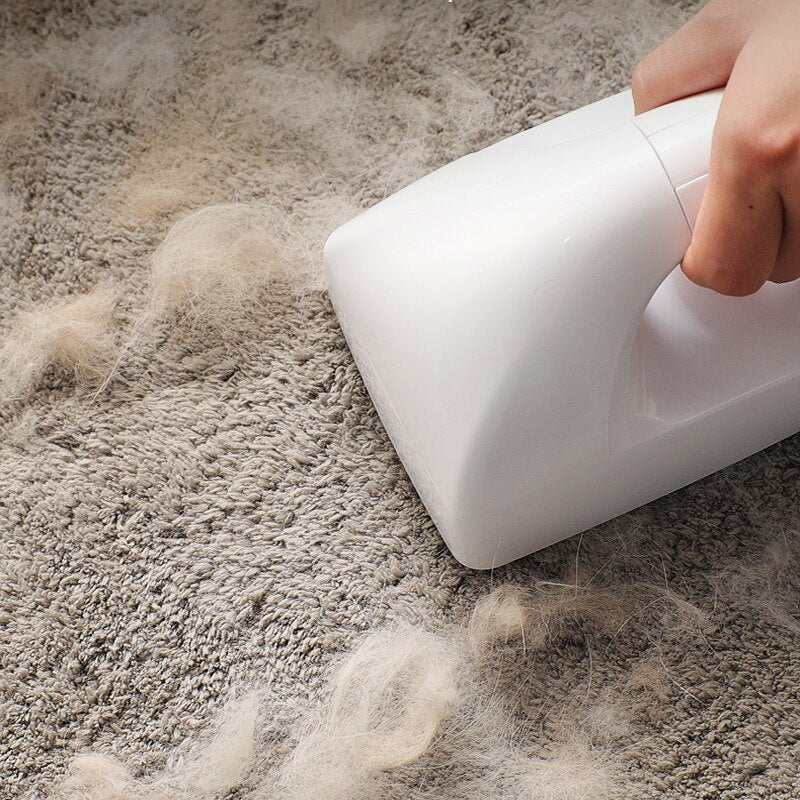 2-Way Pet Hair Remover Roller