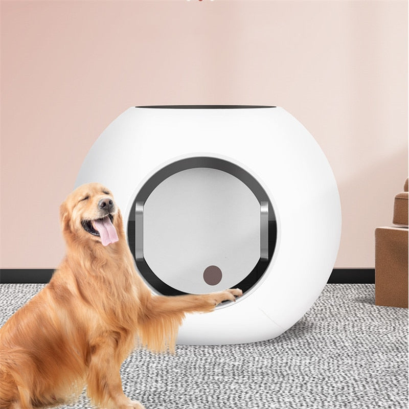 Large Automatic Pet Drying Box