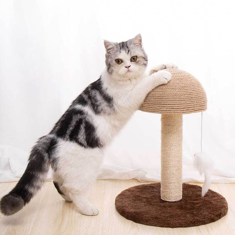 Small Mushroom Cat Scratching Post