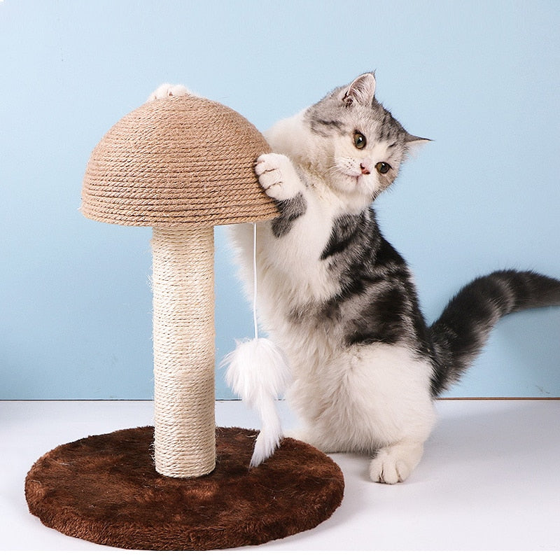 Small Mushroom Cat Scratching Post