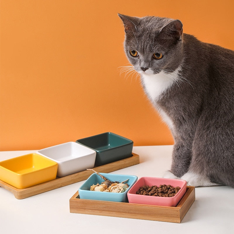 Square Cat Bowl with Bamboo Stand