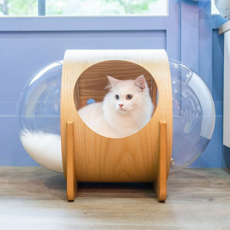 Large Cat Space Capsule