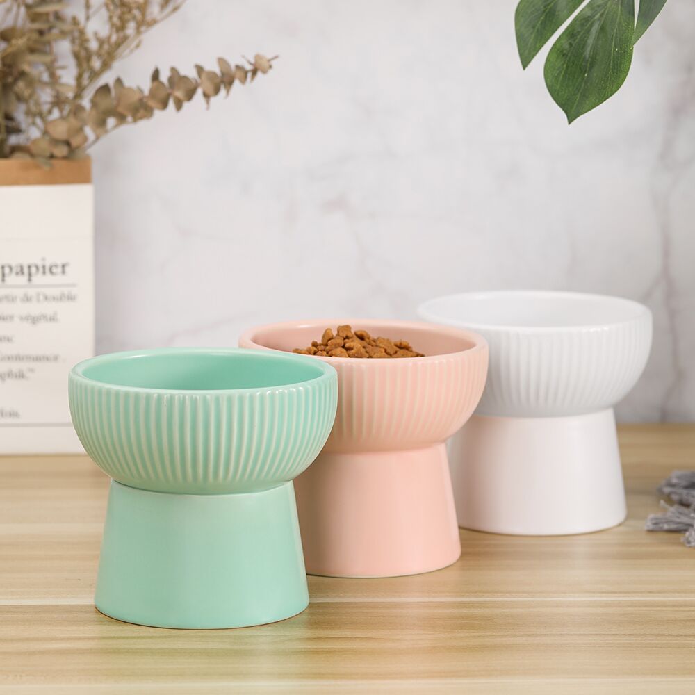 Elegant Elevated Cat Bowls