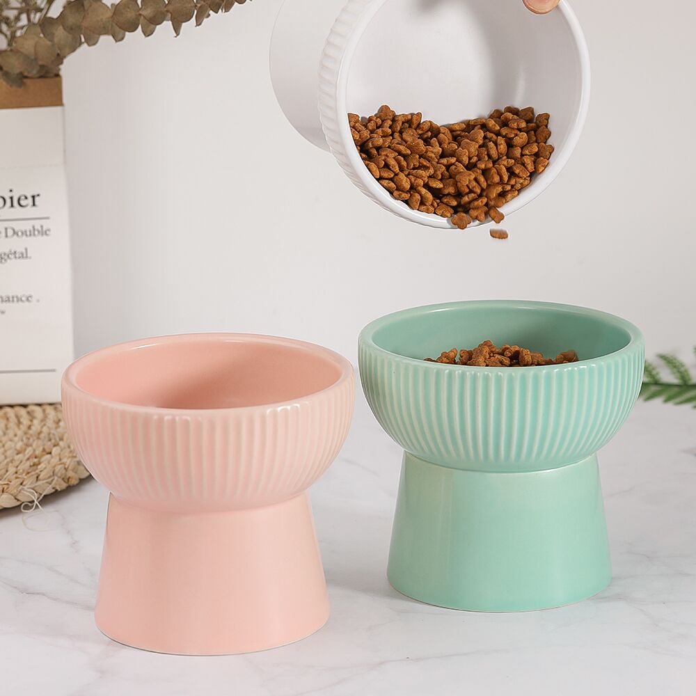 Elegant Elevated Cat Bowls