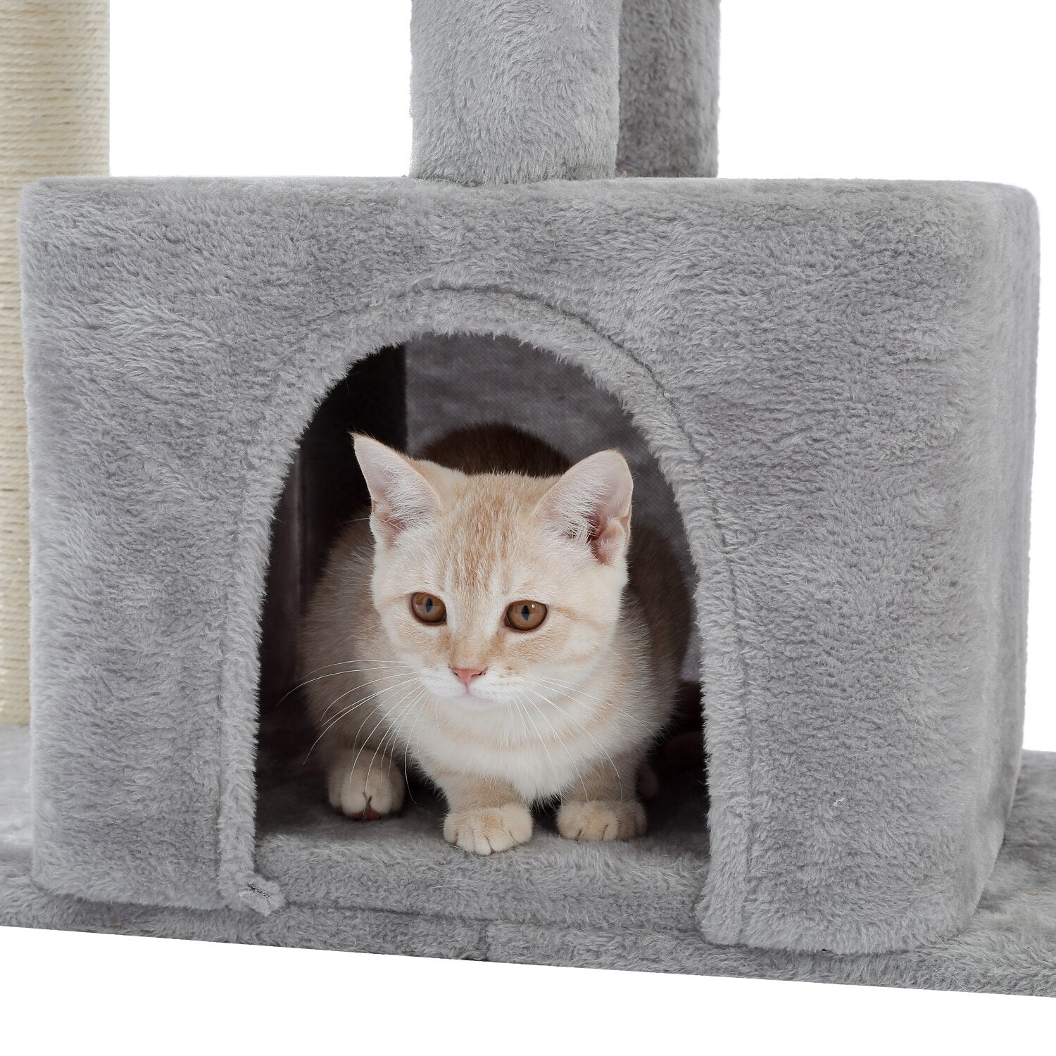 Large Cat Multi-Layer Playground