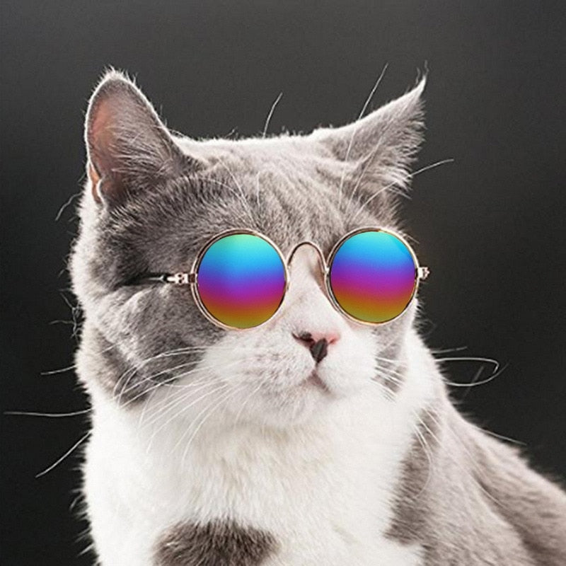 Sunglasses for Cats