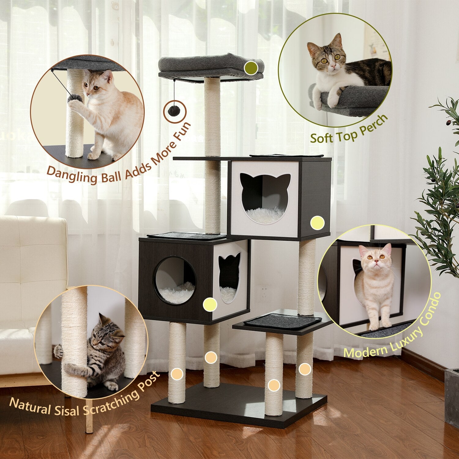 Multi-Level Black Cat Tree