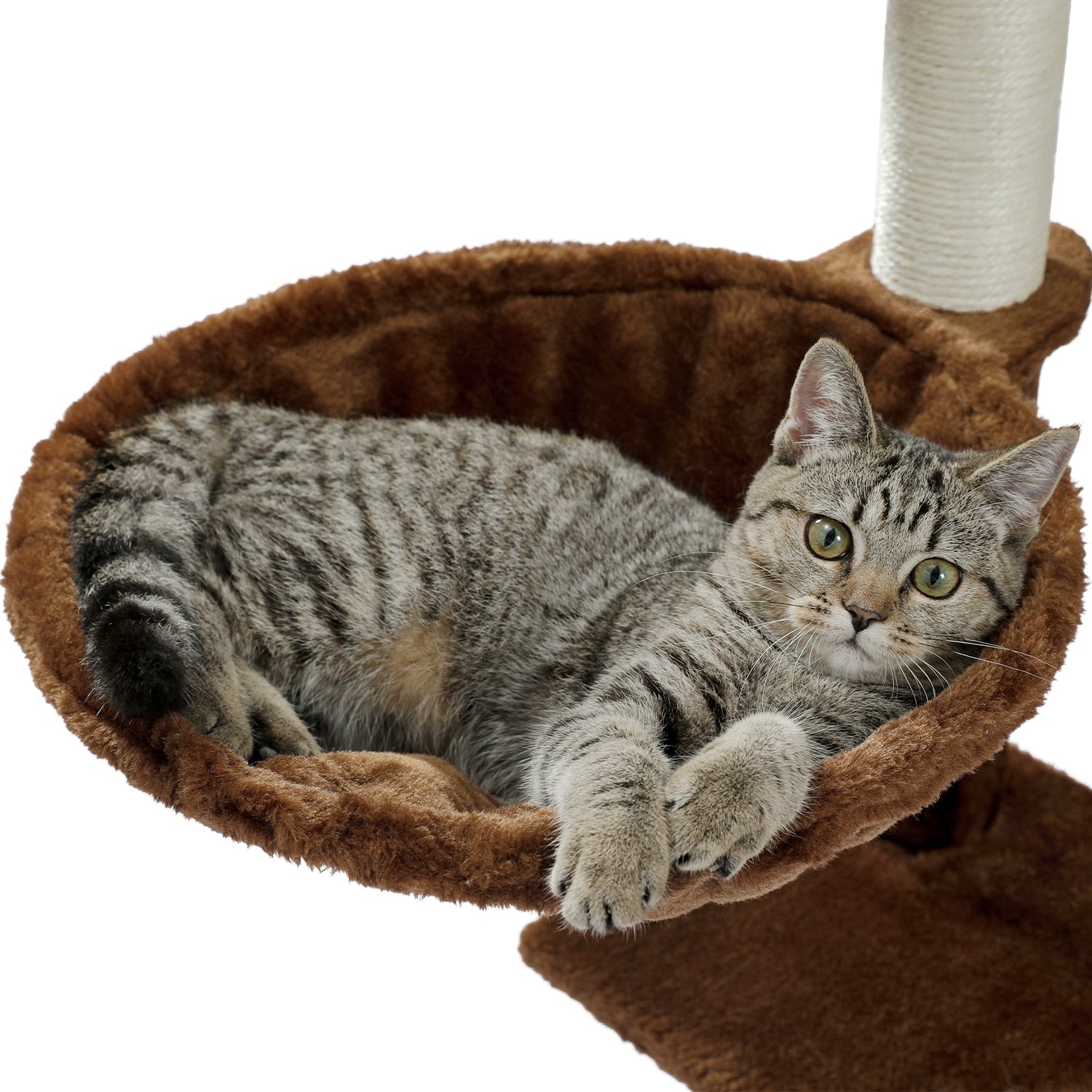 Large Cat Tower with Hammocks